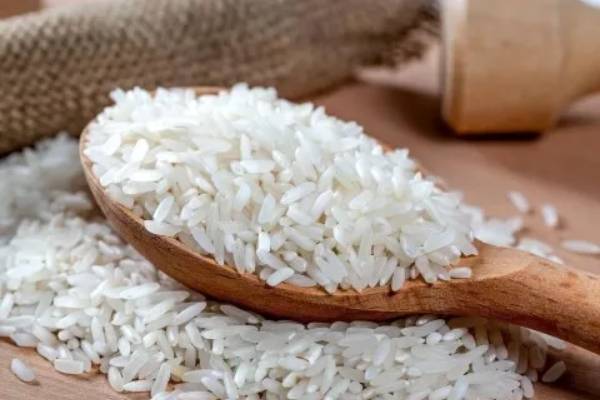 قیمت خرید برنج چمپا در اصفهان با فروش عمده